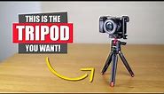 The Best Tabletop Mini Tripod | SmallRig Tripod Review