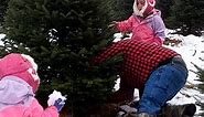 Funny Christmas Tree Fails