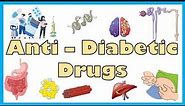Anti-Diabetic Medications - Types, Mechanism Of Action, Indications, Side Effects, Contraindications