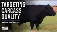 Breeding Cattle for Certified Angus Beef Premiums - Targeting the Certified Angus Beef Brand