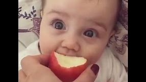 So Cute Baby Eating Apple for the First Time : CUTE BABY