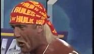 Hulk Hogan -Hey Brother! (Avicii)