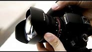 Samyang 14mm f/2.8 (T3.1) lens review with samples (Full-frame and APS-C)