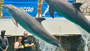 Fans capture stunning Sunday Mug Shot with dolphins!