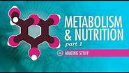 Metabolism & Nutrition, Part 1: Crash Course Anatomy & Physiology #36