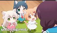 All In One | Những Bé Mèo Cute | Tóm Tắt Anime | Makorx
