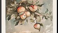Poster Master Vintage Study Of Apples Poster - Retro Still-life Fruit Print - Watercolor Art - Fruit Art - Gift for Men & Women - Decor for Office, Living Room or Kitchen - 8x10 UNFRAMED Wall Art