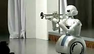 Toyota Partner Robot #2