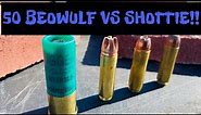 50 Beowulf vs Shotgun: How Many Pavers?