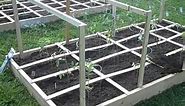 square foot gardening, tomatoes and cage supports