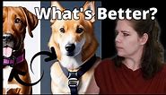 The Truth About Flat Collars Vs Harnesses | A Veterinarian Explains