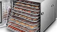 Commercial Large 10 Trays Food Dehydrator, Usable Area up to 17ft², 1000W Detachable Full Stainless Steel Dryer Machine, up to 190℉ Temperature, for Meat, Fruit, Beef, Herbs, and Pet Food