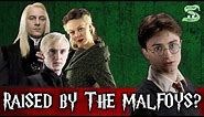 What If Harry Potter Was Raised By The Malfoys?