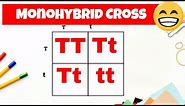 Monohybrid cross and the Punnett square