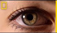 Eyes: The Windows to Your Health | National Geographic