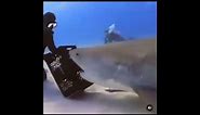Man VS Shark (get rotated idiot meme) (underwater sound recovered)