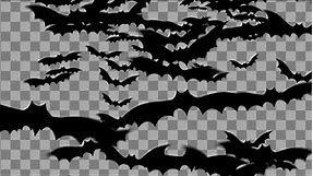 4 Transitions with Flying Bats | Halloween animation | transparent background, alpha channel