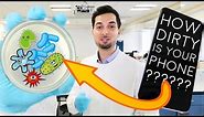 How Much Bacteria Is On Your Phone | LAB EXPERIMENT REVEALED | How To Disinfect Phone | 2018