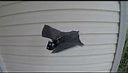 Hanging Flying Bat | Vintage Halloween Prop | Gemmy 2002 | Item# 25136