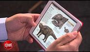 iPad Mini First Look: The teeny, tiny iPad