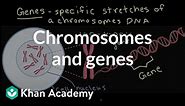 Chromosomes and genes | Inheritance and variation | Middle school biology | Khan Academy