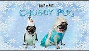 Chubby Pug (Frozen Parody) - Doug The Pug