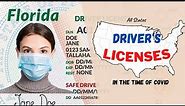 State Driver's licenses | Incredible Designs | All 51 State Licences