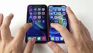 iPhone 12 vs iPhone XR – What’s The Difference? | KnowYourMobile
