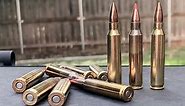 What's the Difference Between 5.56 and .223? Are They Interchangeable? Does it Matter? - The Truth About Guns