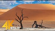 Spectacular Namibia and Botswana - Discovering The Deserts - 4K Relaxation Video