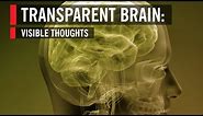 Transparent Brain: Visible Thoughts