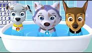 Paw Patrol A Day in Adventure Bay VS Adventure On A Roll - Pups Daily Life - Fun Pet Kids Games