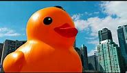 The World's Biggest Duck Just Landed in Toronto