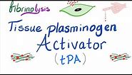 Tissue Plasminogen Activator (tPA)