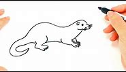 How to draw a Otter Step by Step | Otter Drawing Lesson