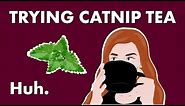 How Does Catnip Work and What Can It Do? — Huh.