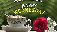Good Morning Happy Wednesday Video - Wednesday Good Morning Greetings with Roses