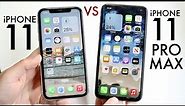iPhone 11 Vs iPhone 11 Pro Max In 2023! (Comparison) (Review)