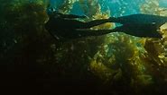 Dive & Snorkel Cameras | Best GoPros for Diving & Snorkeling