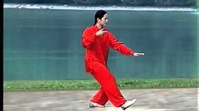 Wu-Style Tai Chi 13 Form