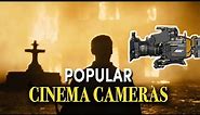 The Most Popular Cinema Cameras (Part 2): Arri, Red, Panavision, Sony