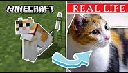 ALL MINECRAFT CATS IN REAL LIFE