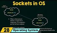 Sockets in Operating System