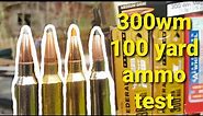 300 Win Mag - 100 Yard Ammo Test