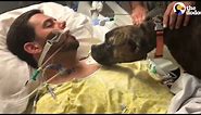 Dog Says Goodbye To Dying Dad at the Hospital | The Dodo