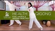 Five Animals Qigong Practice | Health Qigong