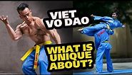 Viet Vo Dao: Unleashing the Power of the Vietnamese Martial Arts