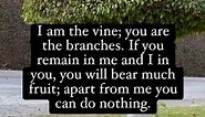 Amen!📖 I am the vine; you are the branches. If you remain in me and I in you, you will bear much fruit; apart from me you can do nothing.- John 15:5#faith #fp #God #christian #happy #love #wisdom #truth #trust #joy #Godisgood #amen #jesuslovesyou #bibleverse #bibleversesaday #faith #trustgod #fyp #fypシ #blessed #grateful | Bible Verses A Day