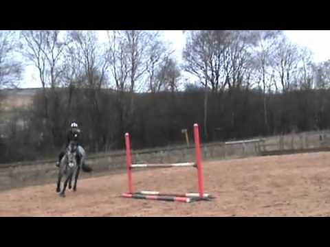 Show Jumping Exercise- Improve Your Show Jumping In Just 5 Minutes