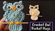 EASY Crochet Owl Pocket Hugs Tutorial